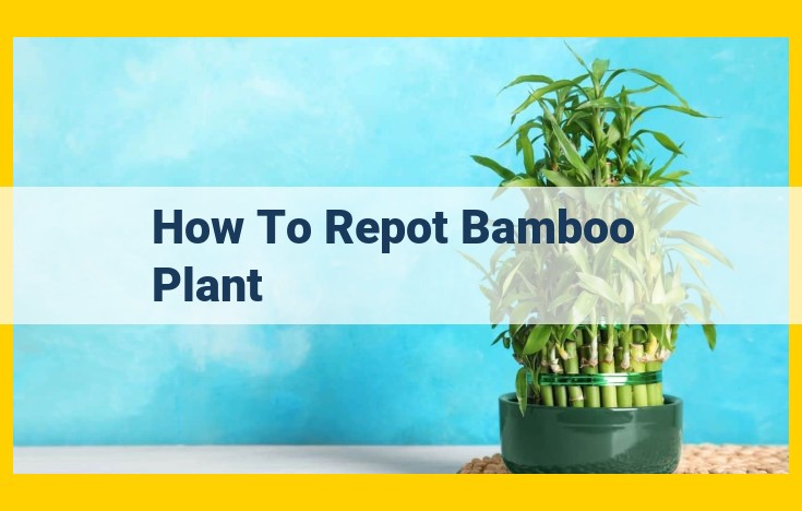 Expert Guide to Repotting Bamboo: Step-by-Step Instructions and Essential Tips