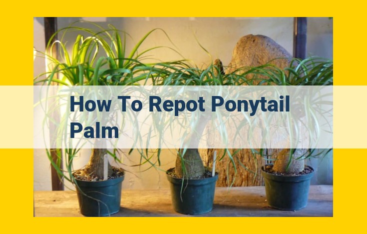 Ultimate Guide to Repotting Ponytail Palms: A Step-by-Step Guide with Expert Tips