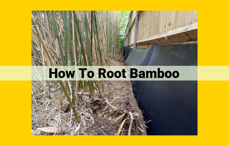 Comprehensive Guide to Rooting Bamboo: Techniques and Essential Tips