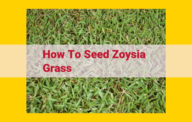 Expert Guide to Zoysia Grass Seeding: A Step-by-Step Approach