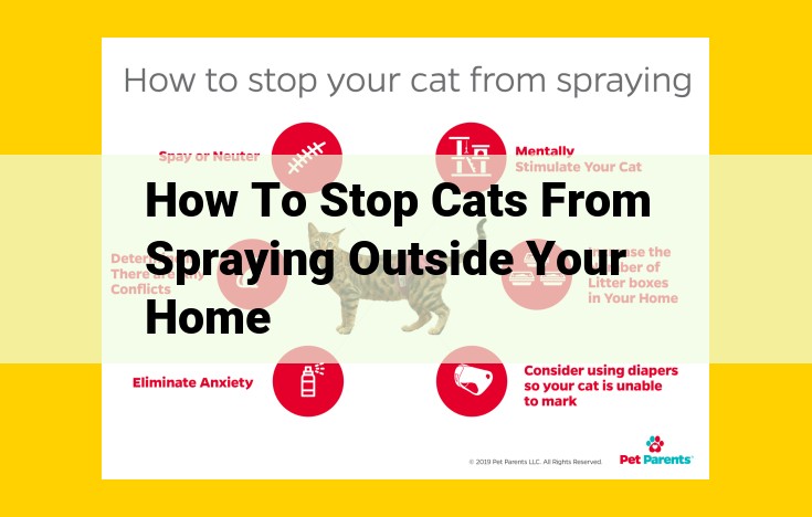 SEO-Optimized Title: Eliminate Cat Spraying: Comprehensive Guide to Preventing Outside Spraying