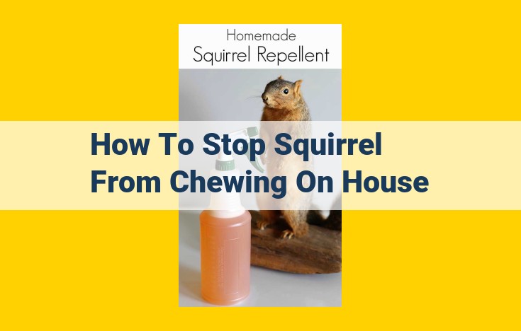 Comprehensive Guide to Squirrel Deterrence for Homeowners