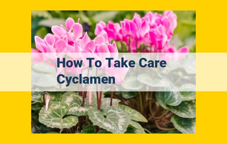 Cyclamen Care Guide: Nurturing the Delicate Beauty