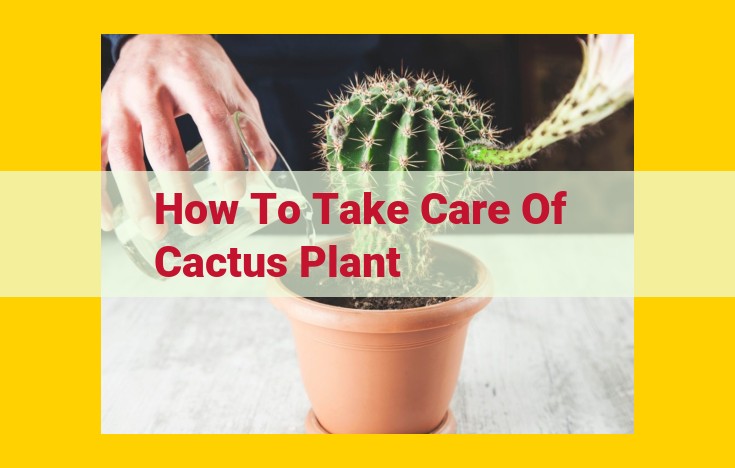 Comprehensive Cactus Care Guide: Thriving in Warm, Luminous Habitats