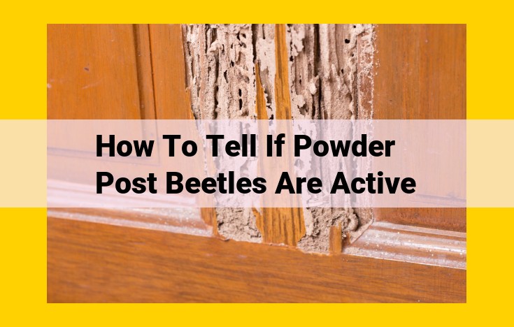 Detect and Control Powder Post Beetle Infestations: Preserving Wooden Structures