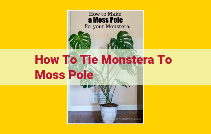 Ultimate Guide to Tying Monstera to Moss Poles for Enhanced Growth