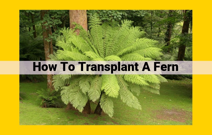 Step-by-Step Guide to Transplanting Ferns for a Thriving Garden