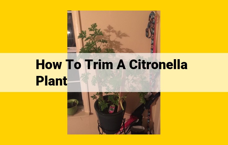 Ultimate Guide to Trimming Citronella Plants for Enhanced Pest Repellency and Bushiness