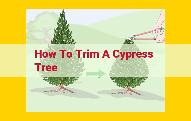 Mastering Cypress Tree Trimming: Essential Tools, Techniques, and Best Practices