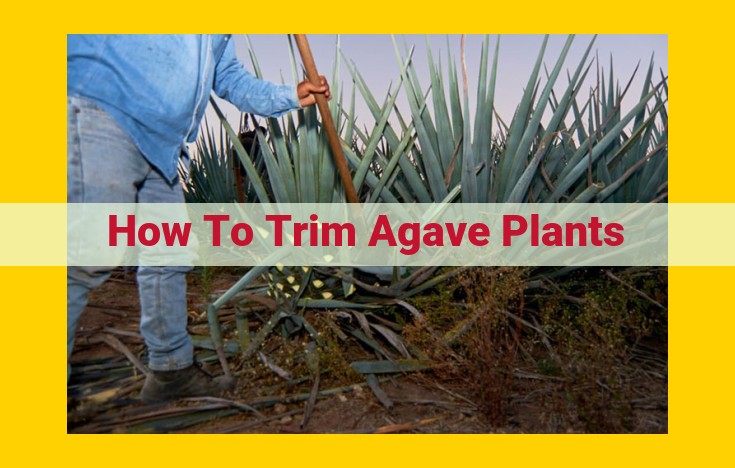 Best Practices for Safe and Effective Agave Plant Trimming