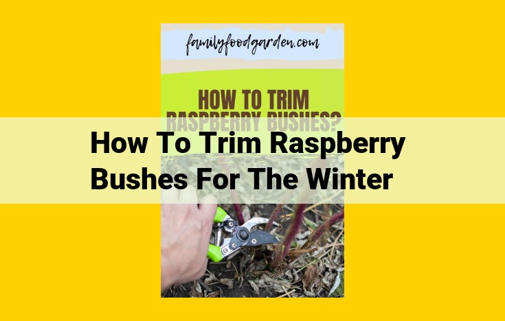 Trim Raspberry Bushes for Winter: Essential Guide to Prepare for Next Season's Harvest