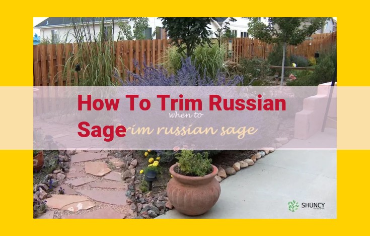 Expert Guide to Pruning Russian Sage for Bountiful Blooms and Plant Health