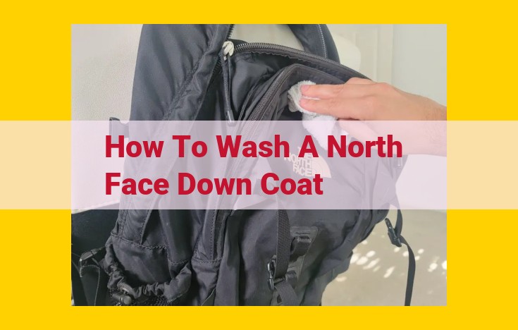 Expert Guide to Washing Your North Face Down Coat