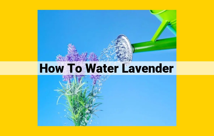 How to Water Lavender: A Comprehensive Guide for Optimal Plant Health