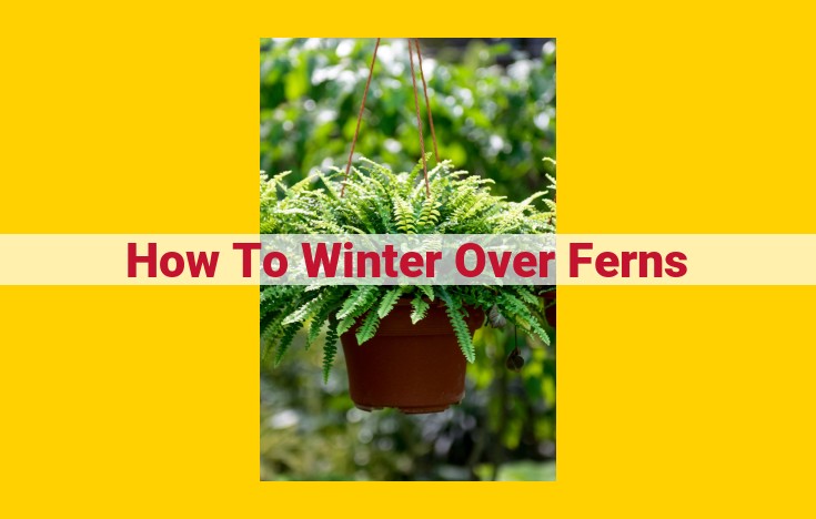 Winterizing Ferns: Essential Tips for Protecting Your Plants from Cold